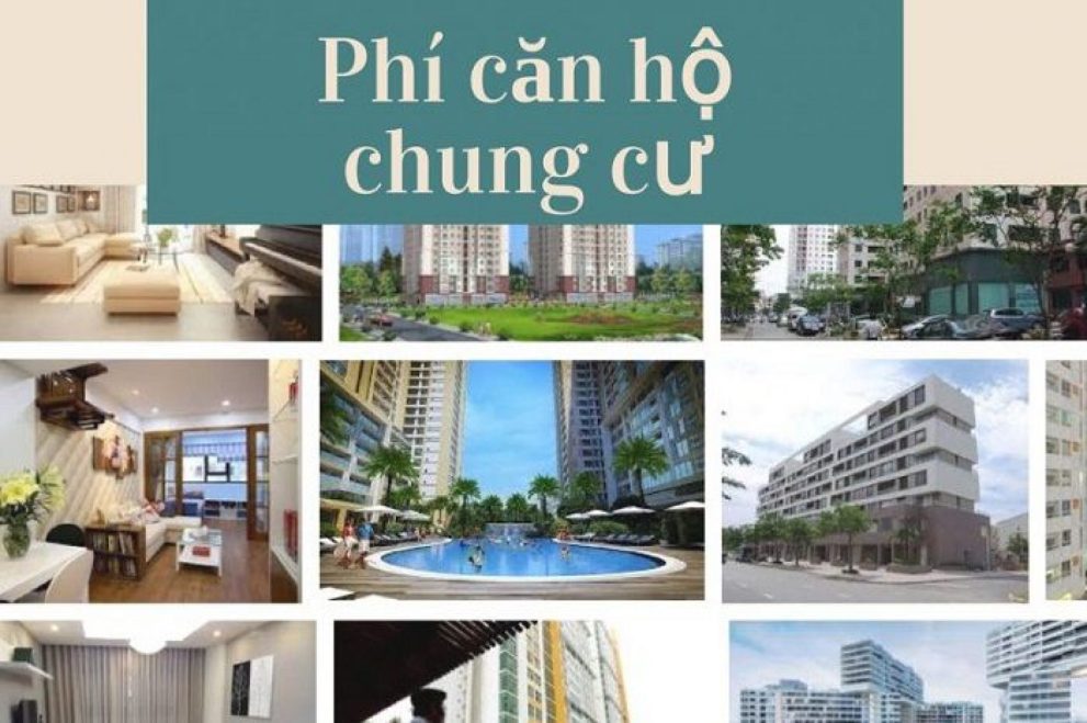 lam cach nao su dung phi bao tri chinh xac khong bi that thoat 1